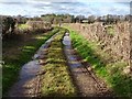 Green lane at Munsley