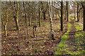 SP5776 : Greenhaven Woodland Burial Ground by Stephen McKay