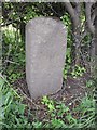 Old Milestone by the A40, Derimoelion, Llanegwad