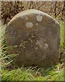 Old Milestone by the A38, Stocks Bridge, Cam Parish