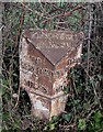 Old Milepost by the B4349, Coldwell, Kingstone Parish