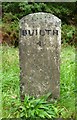 Old Milestone by the A483, Llanfechan, Cilmery Parish