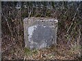 Old Boundary Marker south of Crinow