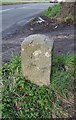 Old Boundary Marker by the B3195, Shaldon Road, Newton Abbot