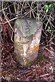 Old Milestone by the B6357, Byreholm