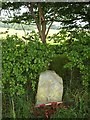 Old Boundary Marker by the B5087, Dunge Farm, Over Alderley