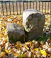 Old Boundary Markers by Jubilee Walk,  Kensington Gardens