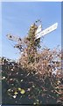 Direction Sign - Signpost on Hunstrete Lane, Compton Dando