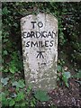 Old Milestone by the B4570, Neuadd Cross, Beulah parish