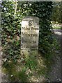 Old Milestone by the A272, Winton Lodge, Stockbridge