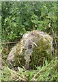 Old Milestone by the A342, Devizes Road, Upavon