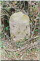 Old Milestone by the A490, south of Cilcewydd