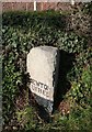 Old Milestone by the A381, Teignmouth Road