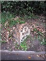 Old Milestone by the A484, Pwll Road, west of Pwll