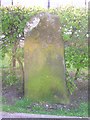 Old Milestone by the A701, Broughton, Broughton, Glenholm & Kilbucho