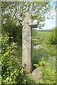 SX3655 : Old Wayside Cross by Horsepool Lane, Sheviock parish by Alan Rosevear