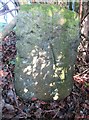 Old Boundary Marker near Hallam Lane, Askwith parish