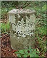 Old Boundary Marker on Lympstone Common, Woodbury parish