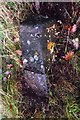 Old Milestone by the A923, Old Military Road, Rosemount, Blairgowrie Parish