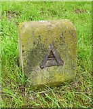 SU4996 : Old Boundary Marker by the River Thames Path, Abingdon parish by Milestone Society