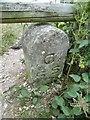 Old Boundary Marker in Holbury, Fawley parish