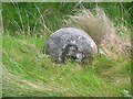 Old Milestone by the B888, South Uist parish