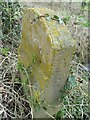 Old Milestone by the A413, Olney End, Silverstone parish