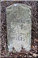 Old Milestone by the A438, opposite Wyekern, Whitney on Wye parish