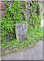 Old Milestone by The Cottage, near Haldon Grange, Dunchideock parish