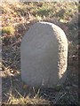 Old Milestone by the A920, near Oaklea bungalow, Rayne parish