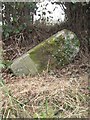 Old Milestone by the A528, Cockshutt parish