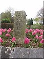 Old Milestone by the A483, Bridge Street, Llandeilo