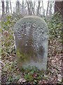 Old Milestone in Manor Wood, Heswall parish