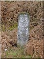 Old Milestone north of Scatterford Farm, Newland Parish