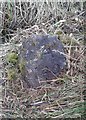 Old Boundary Marker near Holly Bank Farm, Mossley parish