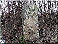 Old Milestone by the A4137, near Chapel Tump, Hentland parish