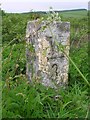 Old Milestone by the A714, north of Carsegowan, Wigtown parish