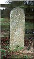 Old Milestone by the A31, Romsey Road, Copythorne parish