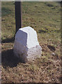 Old Milestone by the A91, west of Strathmiglo