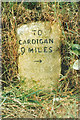 Old Milestone by the A487, west of Sarnau, Penbryn parish
