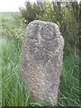 Old Milestone by the A957, Slug Road, Durris parish