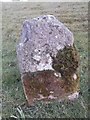 Old Milestone by the B6255, near Turfy Hill, Hawes parish