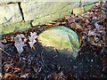 Old Boundary Marker by Oak Road, Over Alderley parish