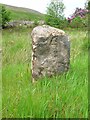 NS1181 : Old Milestone by the B836, Clachaig, Dunoon and Kilmun parish by Milestone Society
