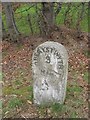 Old Milestone by the A44, south of Plas Dolau, Faenor parish