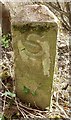 Old Boundary Marker by Bragenham Lane, Soulbury parish