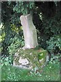 NY7017 : Old Wayside Cross - moved to Great Ormside churchyard by Milestone Society
