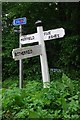 Old Direction Sign - Signpost by Fir Toll Road, Mayfield parish