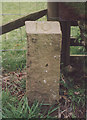 Old Milestone by the B880, North Feoline, Kilmory parish