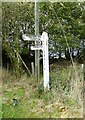 Old Direction Sign - Signpost by Bickham Cross, Knowstone parish